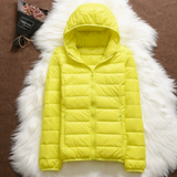 Wikitoria - Between-Season Coat